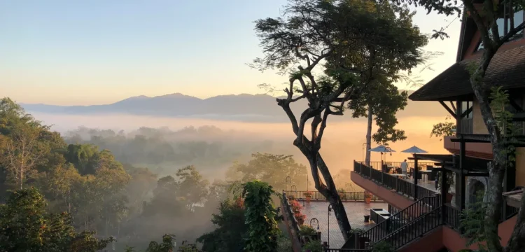 petualangan-unik-menginap-di-jungle-bubbles-bersama-gajah-di-hutan-thailand