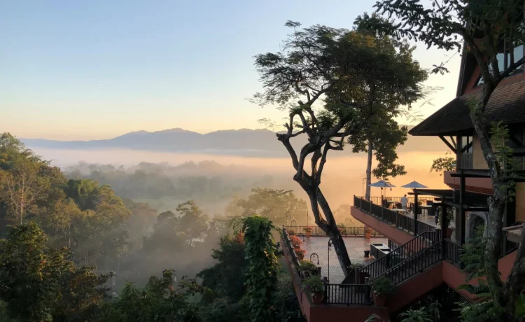 petualangan-unik-menginap-di-jungle-bubbles-bersama-gajah-di-hutan-thailand