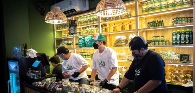 Thailand: Destinasi Wisata Ganja yang Menarik Minat Turis Global
