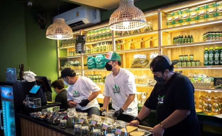 Thailand: Destinasi Wisata Ganja yang Menarik Minat Turis Global